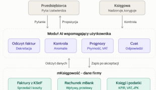 wsparcie AI w mksiegowa