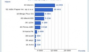 accounting in Poland - 10 best customers dashboard