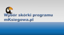 Wybór skórki programu